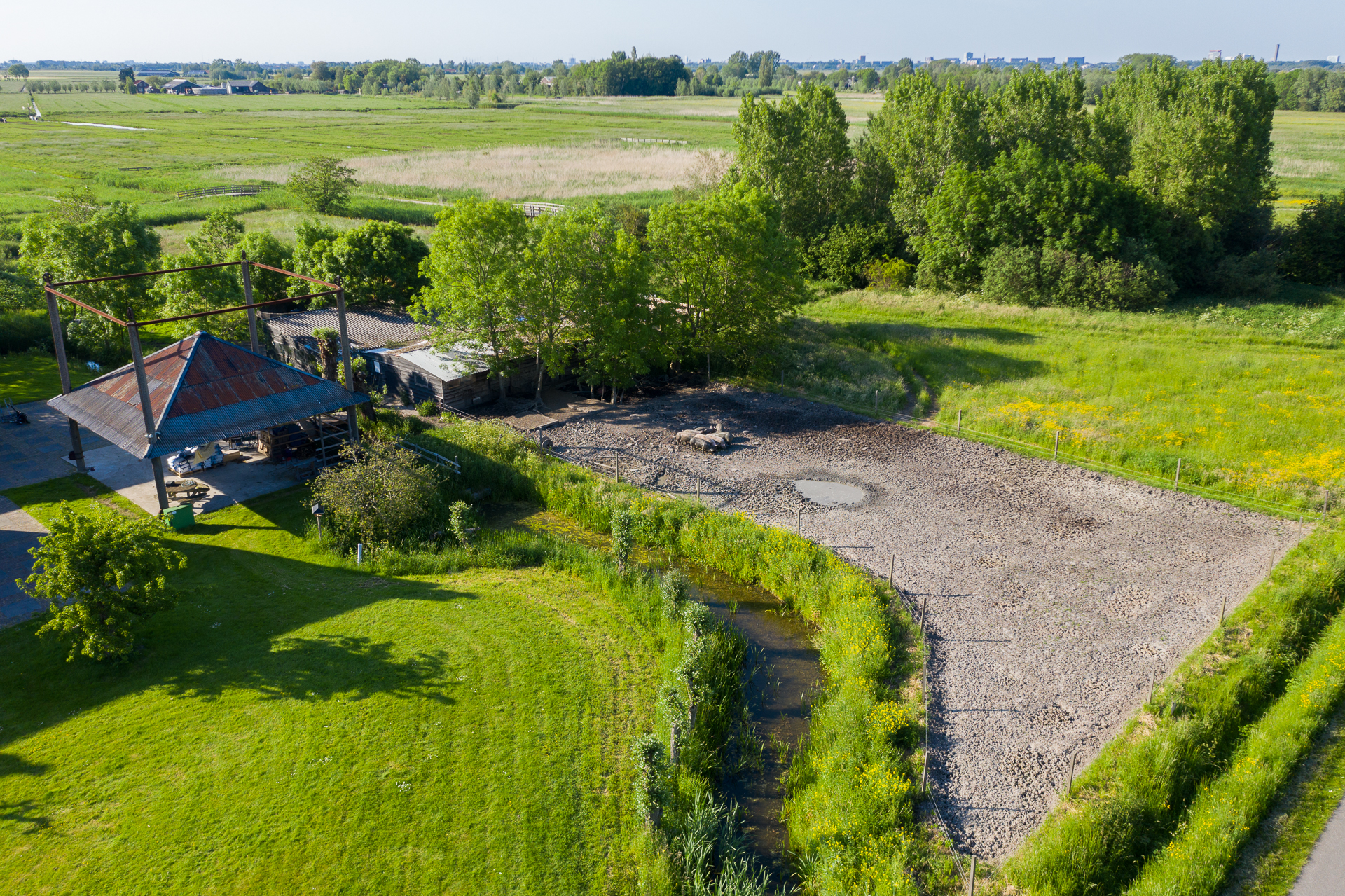 panarama foto omgeving